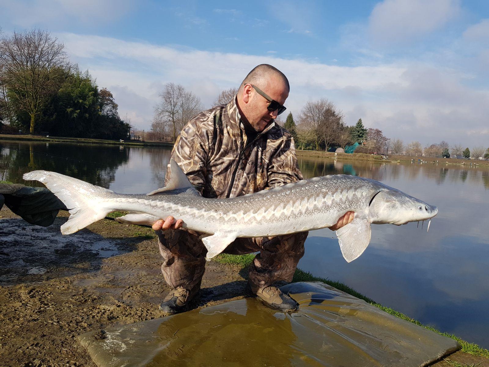 Gioia Lake - img-20180312-wa0005.jpg